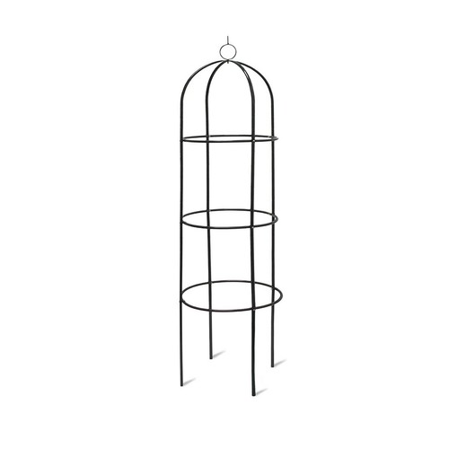 Garden rose plant arch - rose,