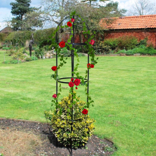 Garden obelisk outdoor - garden,