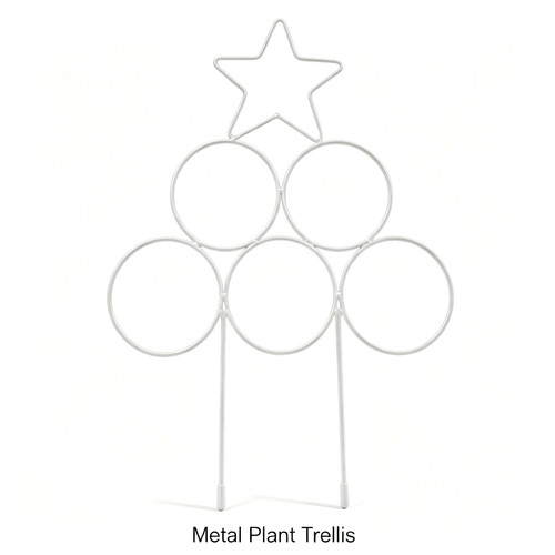 Iron plant climbing - iron,