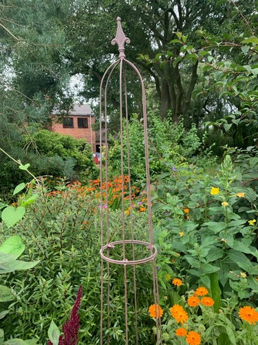 Metal garden obelisk climbing - metal,