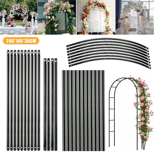 Rose arch climbing plant - rose,