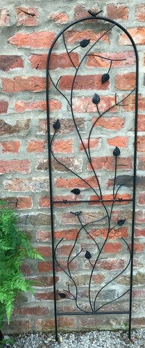 Garden trellis climbing - garden,