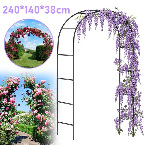 Rose arch climbing - climbing, plant