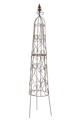 Garden climbing plant - plant, obelisk