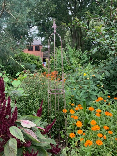 Garden obelisks climbing metal - obelisks,