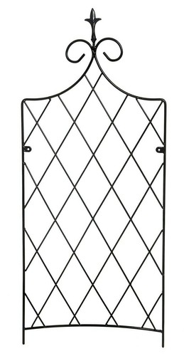 Garden wall trellis - wall, climbing