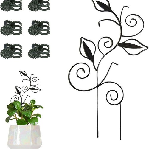 Rust resistant iron - rust, leaf