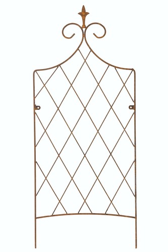Garden wall trellis - trellis, climbing
