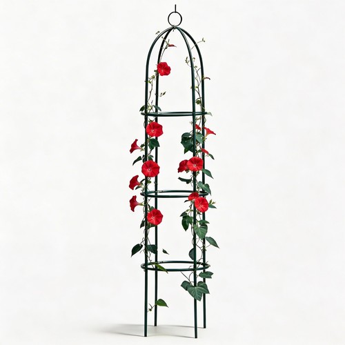 New garden obelisk climbing - new,