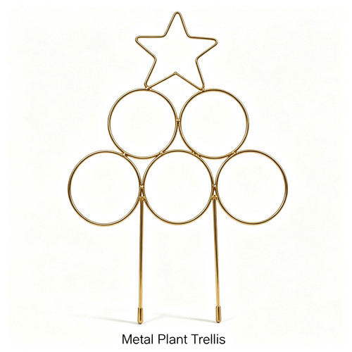 Iron plant climbing - iron,