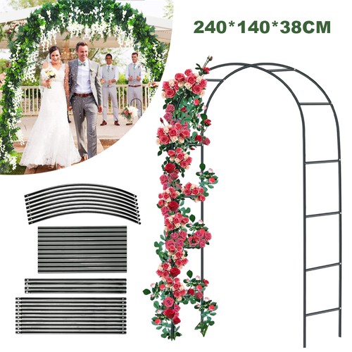 Rose arch climbing - rose,