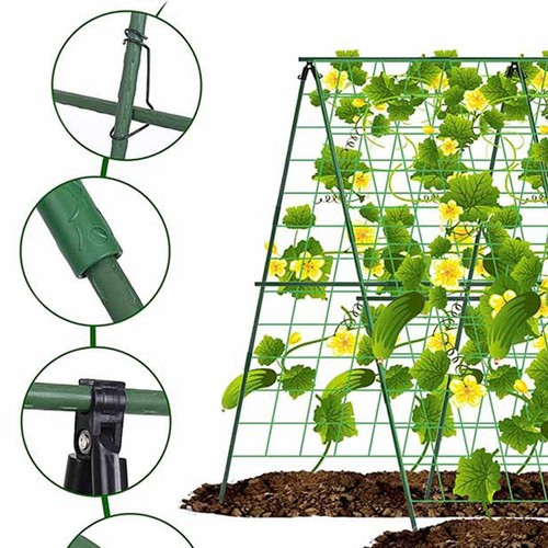 Rust resistant frame - a, garden