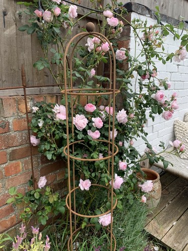 Rusty garden obelisks - 4x,