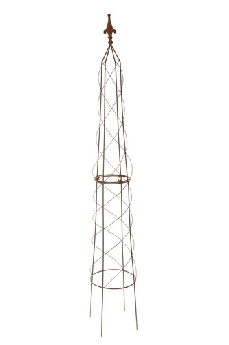 Garden obelisk climbing - garden, plant