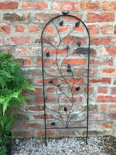 Garden trellis climbing - garden,