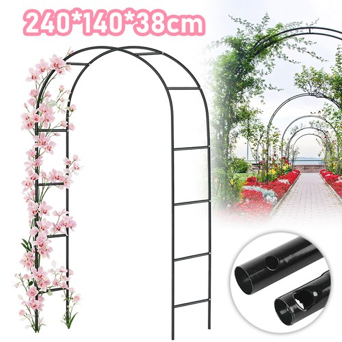Rose arch climbing plant - arch,