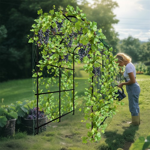 Xxl garden trellis - garden, rust-free