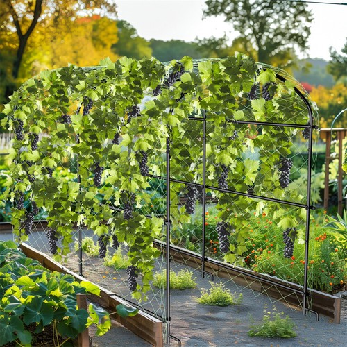 Xxl garden trellis rust - xxl,