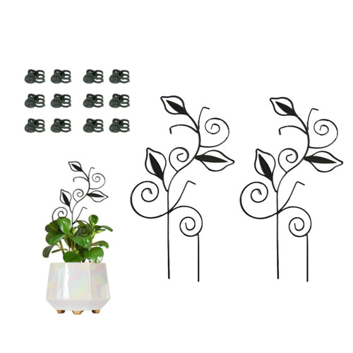 Rust resistant iron - rust,