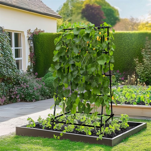 Xxl garden trellis rust free - garden,
